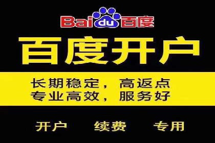 SEM推广公司案例：打造行业口碑传播典范